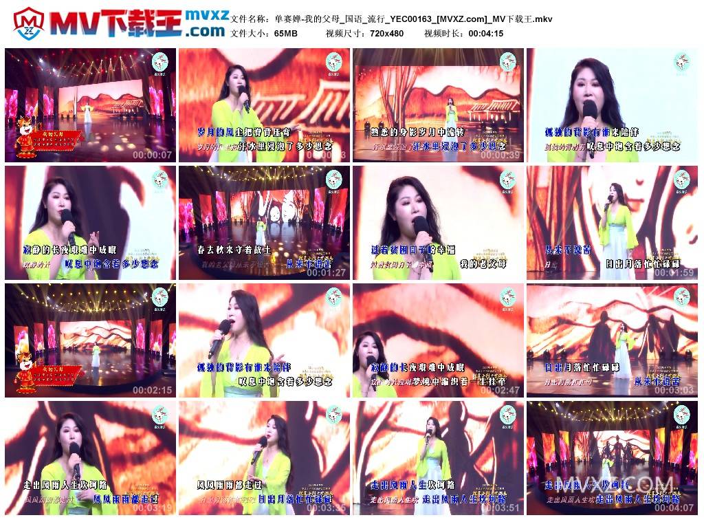 单赛婵-我的父母_国语_流行_YEC00163
